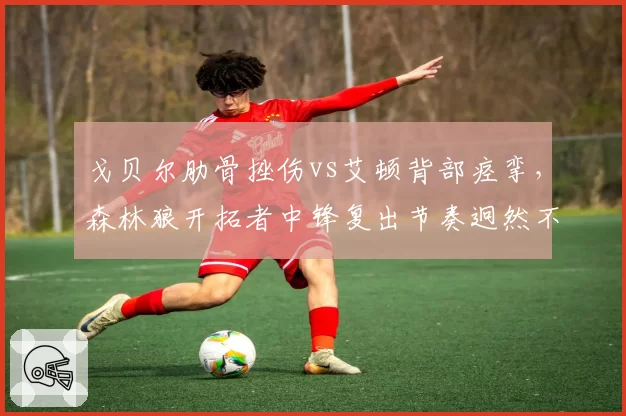 戈贝尔肋骨挫伤vs艾顿背部痉挛,森林狼开拓者中锋复出节奏迥然不同
