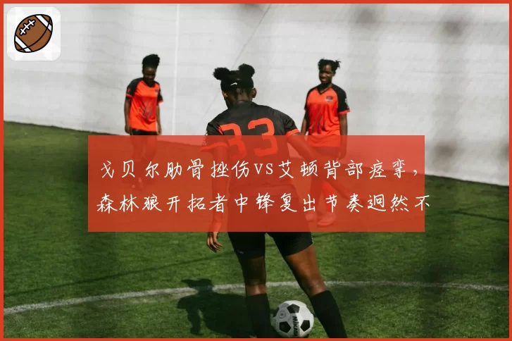 戈贝尔肋骨挫伤vs艾顿背部痉挛，森林狼开拓者中锋复出节奏迥然不同