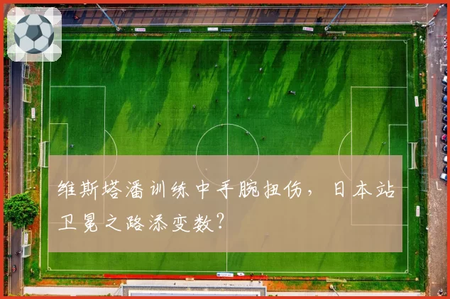 维斯塔潘训练中手腕扭伤,日本站卫冕之路添变数?