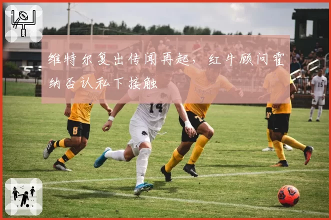 维特尔复出传闻再起,红牛顾问霍纳否认私下接触